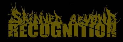 logo Skinned Beyond Recognition